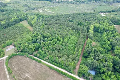 18 Acres - Tbd Driffin Ln, Salters, SC 29590 - Photo 6