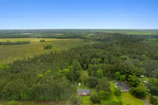 2240 Little Lamb Rd, Conway, SC 29527 - Photo 38