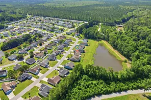 529 Irees Way, Longs, SC 29568 - Photo 40
