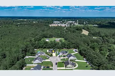 225 Fox Hunt Pl., Galivants Ferry, SC 29544 - Photo 48