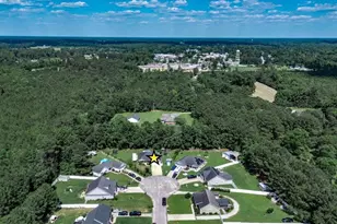 225 Fox Hunt Pl, Galivants Ferry, SC 29544 - Photo 48