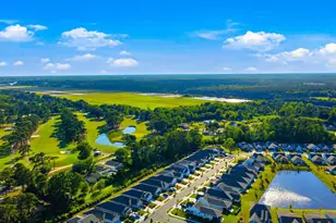 1513 Littleleaf Loop, North Myrtle Beach, SC 29582 - Photo 52