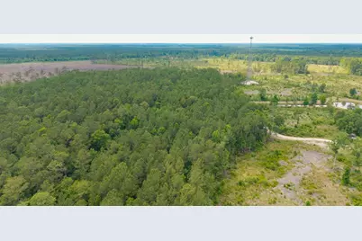 6222 Saints Delight Rd., Georgetown, SC 29440 - Photo 22