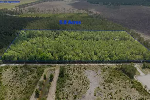 6222 Saints Delight Rd, Georgetown, SC 29440 - Photo 1