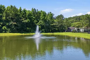100 Oak Leaf Dr, Longs, SC 29568 - Photo 56