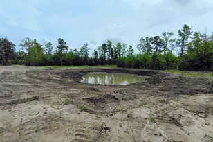 735 Hemingway Rd, Longs, SC 29568 - Photo 28