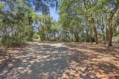 Lot 4 Josie Way, Georgetown, SC 29440 - Photo 8