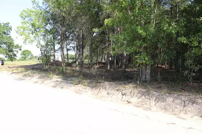 2631 Charlie Johnson Rd, Bethune, SC 29009 - Photo 18