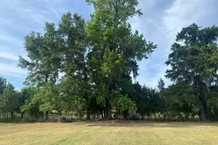 10407 County Line Rd, Hemingway, SC 29554 - Photo 28