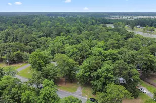268 Williamson Lk Cir, Conway, SC 29526 - Photo 30