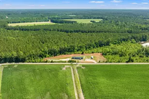 8790 Luck Rd, Nichols, SC 29581 - Photo 54