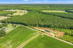 8790 Luck Rd, Nichols, SC 29581 - Photo 46