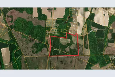 77 Acres - Tbd Bert Hanna Rd., Johnsonville, SC 29555 - Photo 24