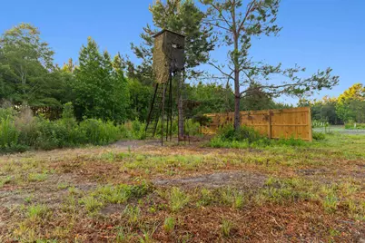 77 Acres - Tbd Bert Hanna Rd., Johnsonville, SC 29555 - Photo 6