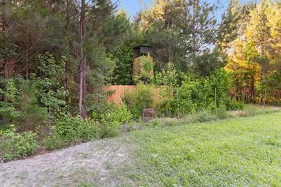 77 Acres - Tbd Bert Hanna Rd., Johnsonville, SC 29555 - Photo 18