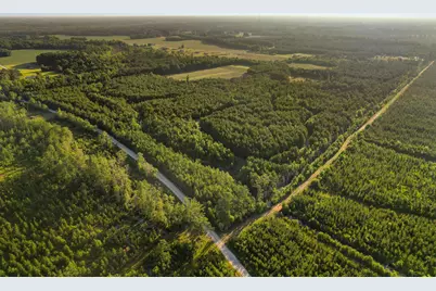 77 Acres - Tbd Bert Hanna Rd., Johnsonville, SC 29555 - Photo 2