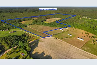 77 Acres - Tbd Bert Hanna Rd., Johnsonville, SC 29555 - Photo 26