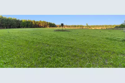 77 Acres - Tbd Bert Hanna Rd., Johnsonville, SC 29555 - Photo 10