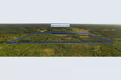 77 Acres - Tbd Bert Hanna Rd., Johnsonville, SC 29555 - Photo 28