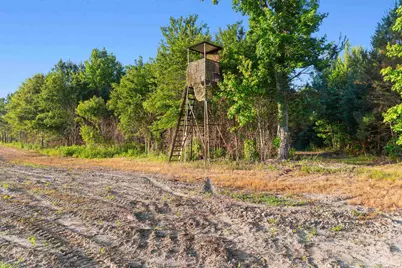 77 Acres - Tbd Bert Hanna Rd., Johnsonville, SC 29555 - Photo 12