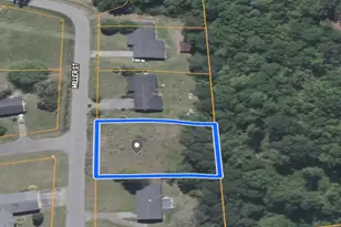 Tbd Miller St, Johnsonville, SC 29555 - Photo 1
