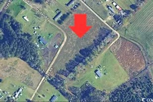 Tbd Harden Rd, Pamplico, SC 29583 - Photo 1