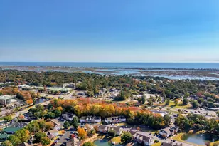 4277 Santolina Way, Murrells Inlet, SC 29576 - Photo 48