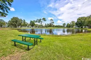 545 White River Dr, Myrtle Beach, SC 29579 - Photo 24