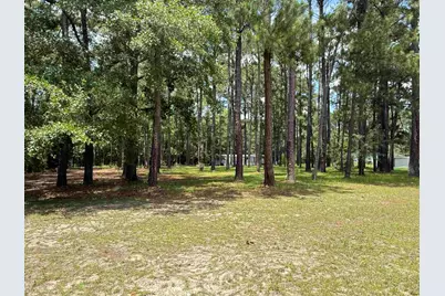 7241 Lawrimore Ln., Conway, SC 29527 - Photo 1