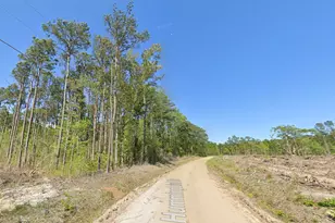 Tbd Hummingbird Dr, Georgetown, SC 29440 - Photo 1