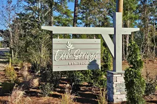 164 Hadley Spgs Ave, Longs, SC 29568 - Photo 26