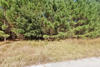 442 Pembroke Blvd., Johnsonville, SC 29555 - Photo 4
