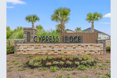 607 Cypress Preserve Circle, Longs, SC 29568 - Photo 30