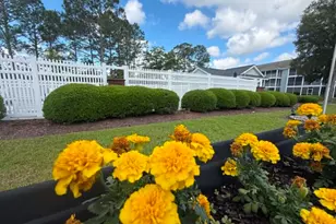 4814 Innisbrook Ct, Myrtle Beach, SC 29579 - Photo 36