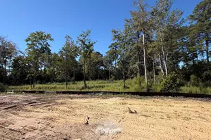 165 Furnies Pl, Loris, SC 29569 - Photo 14