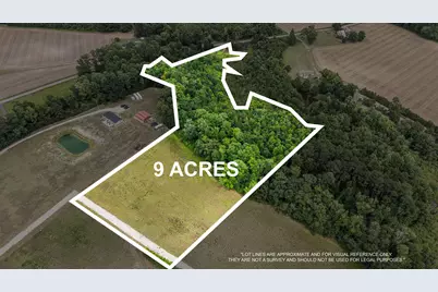 Lot 3 Sheila Dr., Johnsonville, SC 29555 - Photo 4