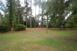 43 Willow Dr, Tabor City, NC 28463 - Photo 64