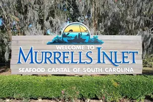 535 Mary Lou Ave, Murrells Inlet, SC 29576 - Photo 38