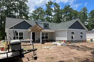 5320 Pauley Swamp Rd, Conway, SC 29527 - Photo 1