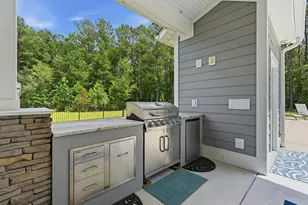 1723 Mineral Springs Rd, Conway, SC 29527 - Photo 54