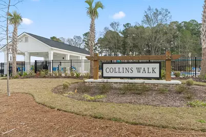 1136 Blueback Herring Way #1136, Conway, SC 29526 - Photo 36