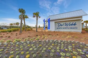 1206 Coneflower Wy, North Myrtle Beach, SC 29582 - Photo 58