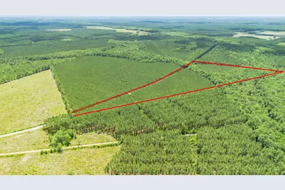 Tbd Ten Acre Rd., Andrews, SC 29510 - Photo 10