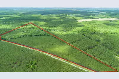 Tbd Ten Acre Rd., Andrews, SC 29510 - Photo 6