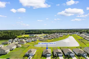 561 Woodland Farms Cir, Aynor, SC 29511 - Photo 40
