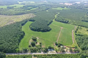 1002 Sam Lee Rd, Scranton, SC 29591 - Photo 1