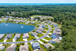 441 Hyacinth Loop, Murrells Inlet, SC 29576 - Photo 58