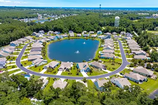 441 Hyacinth Loop, Murrells Inlet, SC 29576 - Photo 62