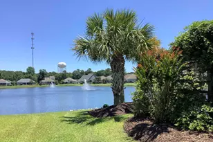 441 Hyacinth Loop, Murrells Inlet, SC 29576 - Photo 46