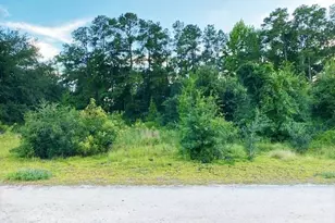 Lot 1 Ivanhoe Pl, Dillon, SC 29536 - Photo 1